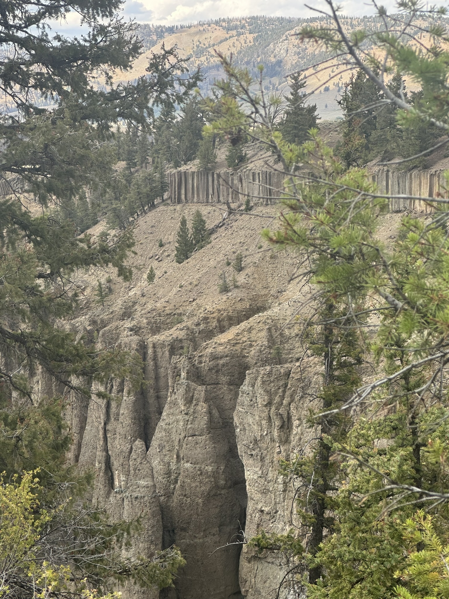 Yellowstone And Grand Teton National Parks - Image 872